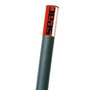 Sortie 😍 Plongee Seacsub Seacsub Silner 😉 7